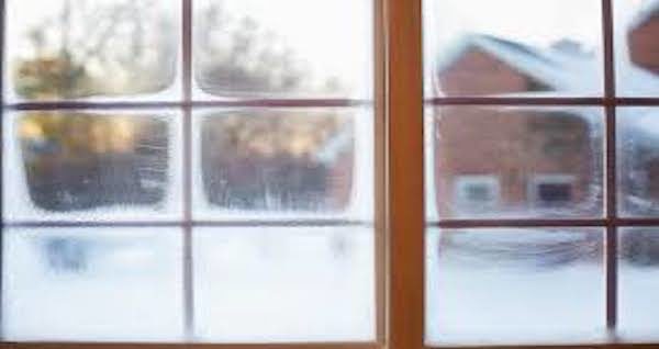 Block Out the Cold with ThermoKing Windows