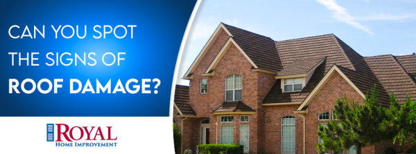 Can You Spot the Signs of Roof Damage?